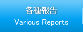 e-Various Reports-