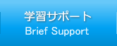 wKT|[g-Brief Support-